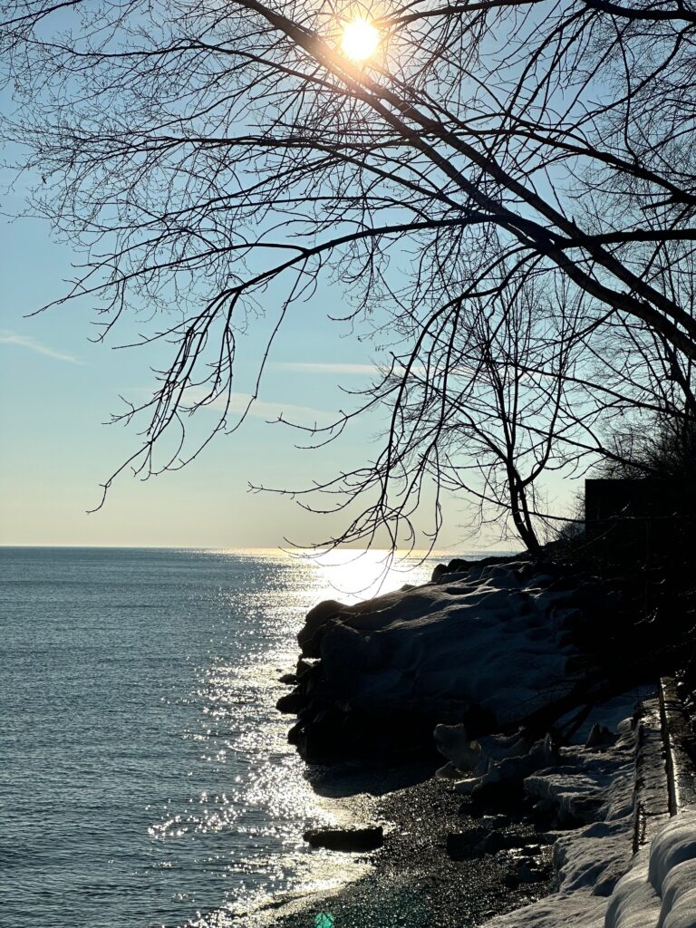 nature scene on lake